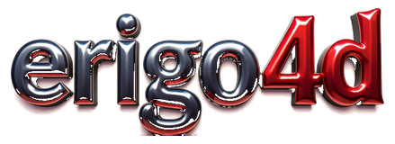 erigo4d logo